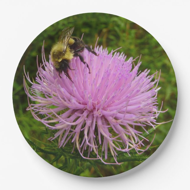 Bee on Thistle Flower Nature Paper Plates (Front)