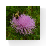Bee on Thistle Flower Nature Paperweight