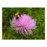 Bee on Thistle Flower Nature Photo Print