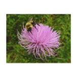 Bee on Thistle Flower Nature Postcard