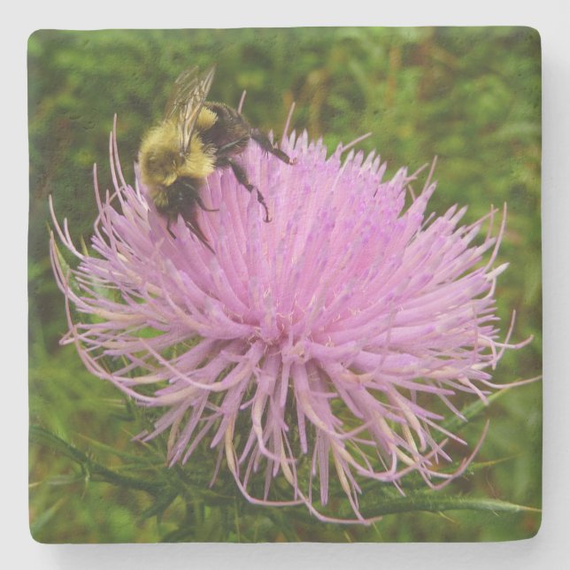 Bee on Thistle Flower Nature Stone Coaster (Front)