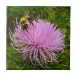 Bee on Thistle Flower Nature Tile