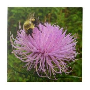 Bee on Thistle Flower Nature Tile