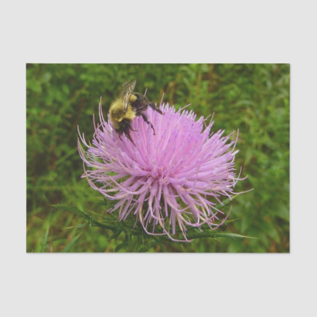 Bee on Thistle Flower Nature Tissue Paper (Front)