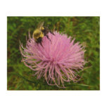 Bee on Thistle Flower Nature Wood Wall Art