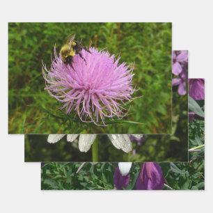 Bee on Thistle Flower Nature Wrapping Paper Sheets
