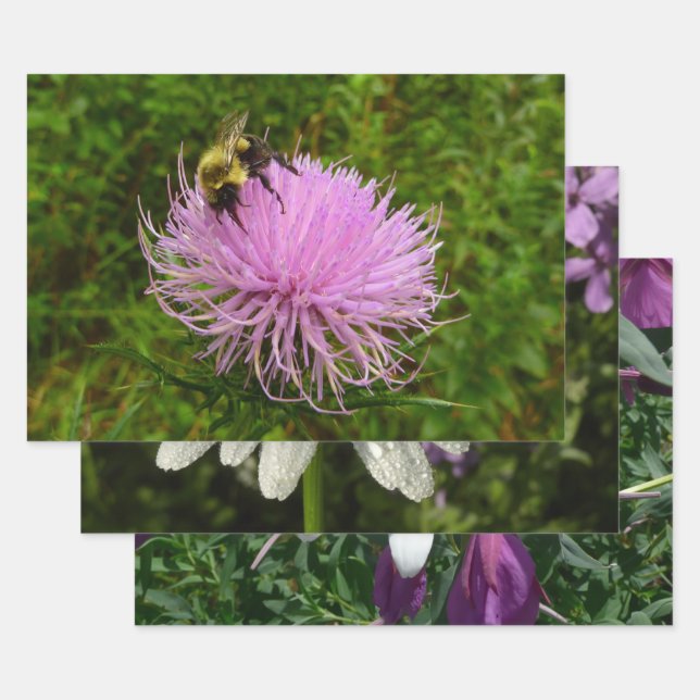 Bee on Thistle Flower Nature Wrapping Paper Sheets (Set)