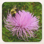 Bee on Thistle Flower Square Paper Coaster