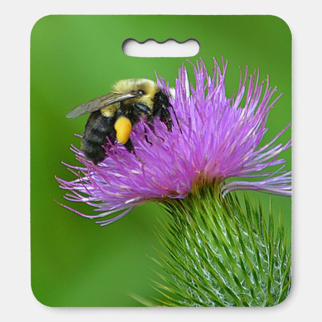 Bee On Thistle Kneeling Pad or (Front Vertical)