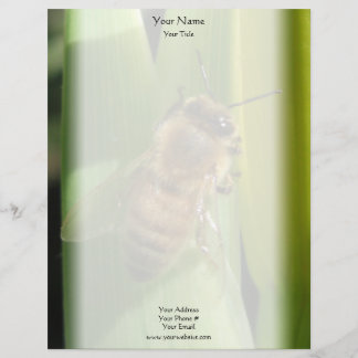 Bee on White Flower Letterhead
