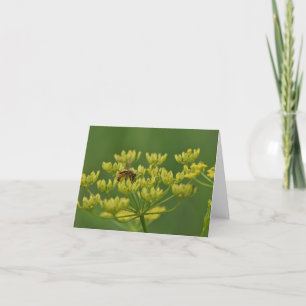 Bee on wild parsnip blank inside notecard. letterpress thank you card