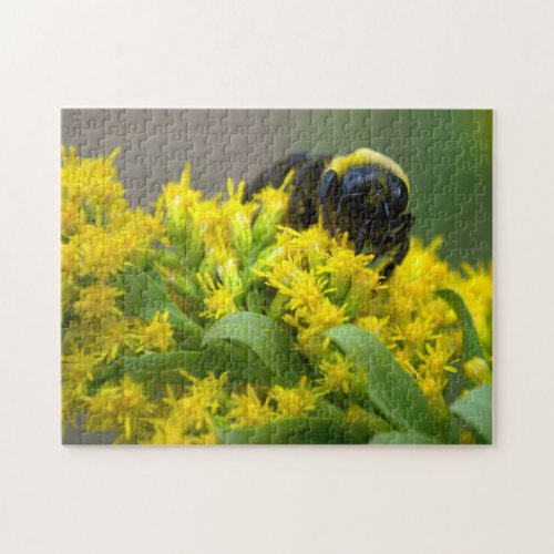 Bee on Yellow Blossoms Puzzle