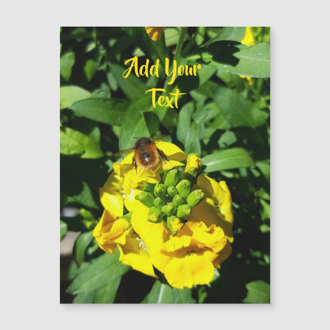 Bee on Yellow Flowers (Front)