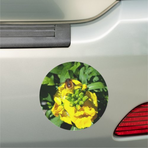 Bee on Yellow Flowers Car Magnet