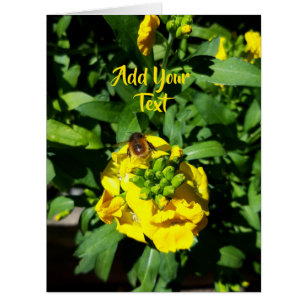 Bee on Yellow Flowers Cards
