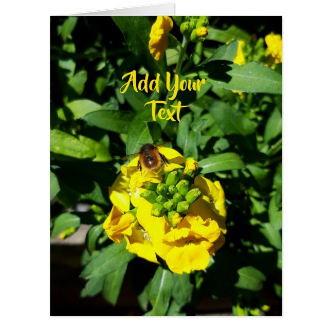 Bee on Yellow Flowers Cards (Front)