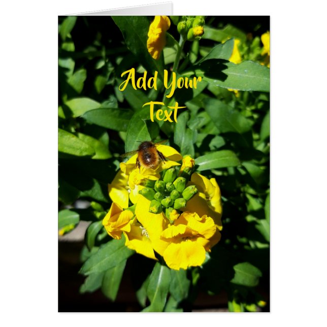 Bee on Yellow Flowers Cards (Front)