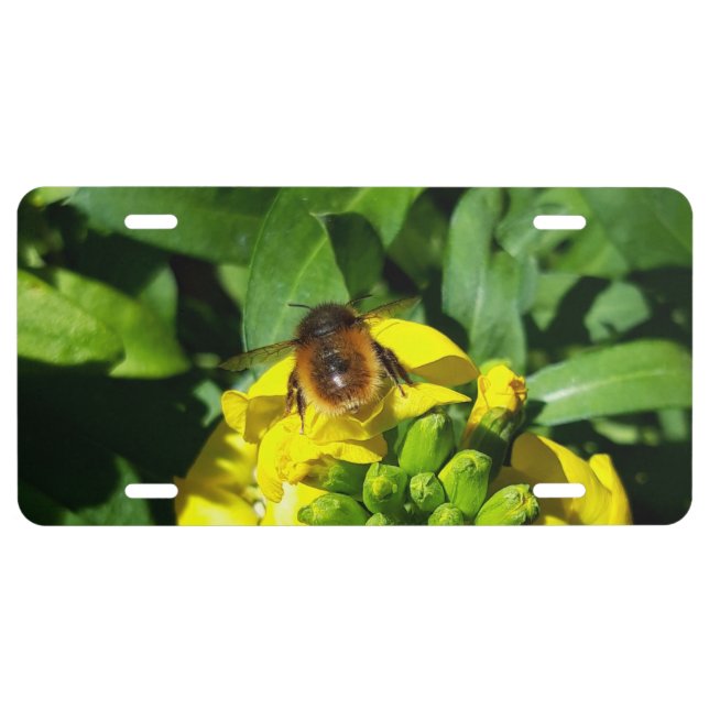 Bee on Yellow Flowers License Plate (Front)