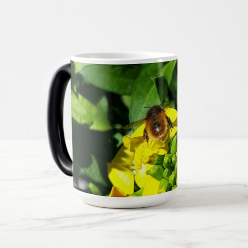 Bee on Yellow Flowers Magic Mug