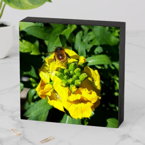 Bee on Yellow Flowers Wooden Box Sign