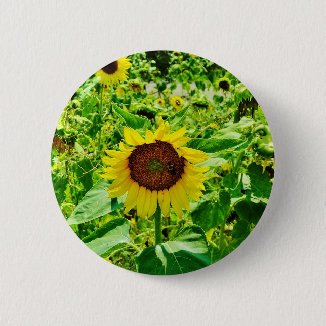 Bee on yellow Sunflower Button (Front)
