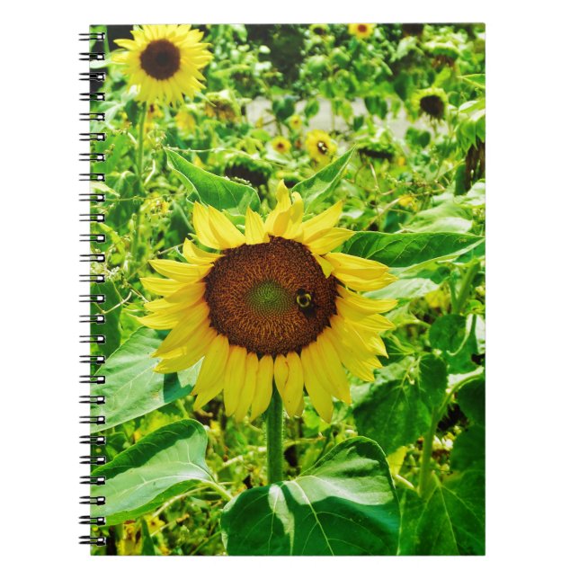 Bee on yellow Sunflower Notebook (Front)