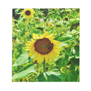 Bee on yellow Sunflower Notepad