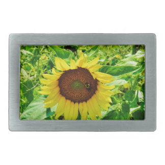 Bee on yellow Sunflower Rectangular Belt Buckle