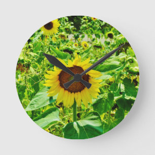 Bee on yellow Sunflower Round Clock