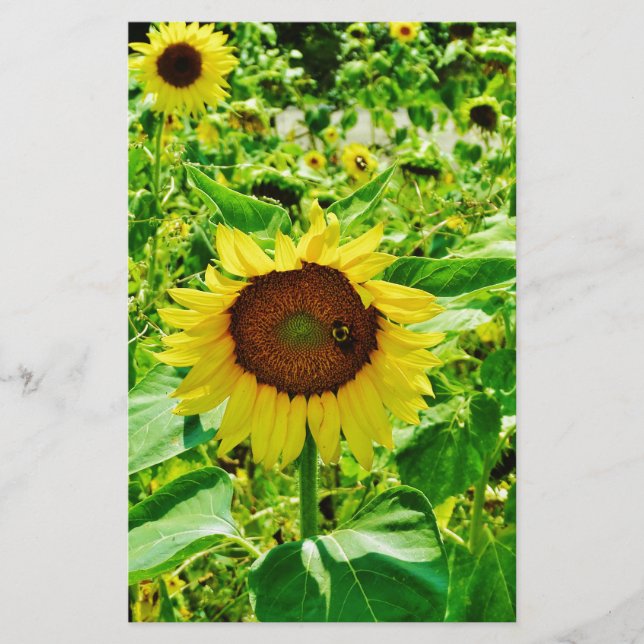 Bee on yellow Sunflower Stationery (Front)