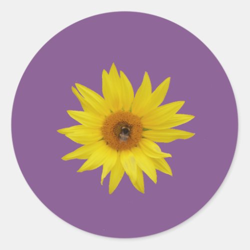 Bee on yellow sunflower with purple background classic round sticker