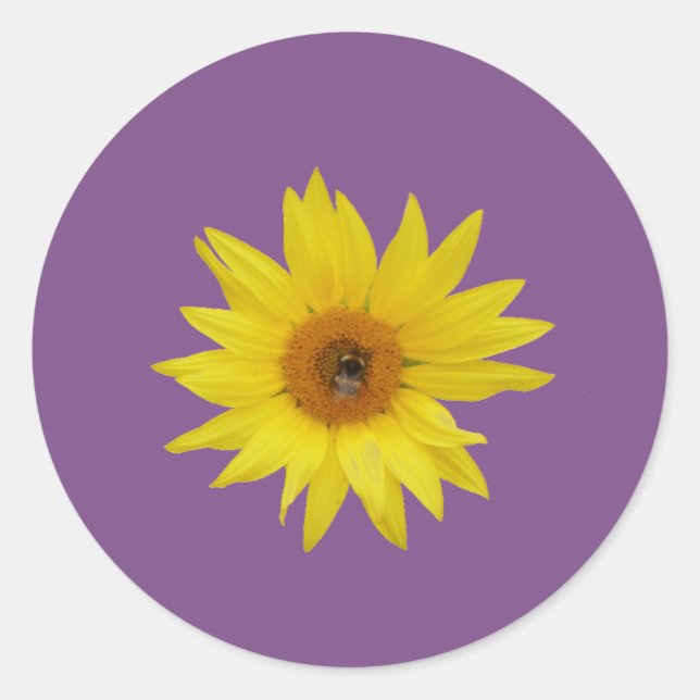 Bee on yellow sunflower with purple background classic round sticker (Front)