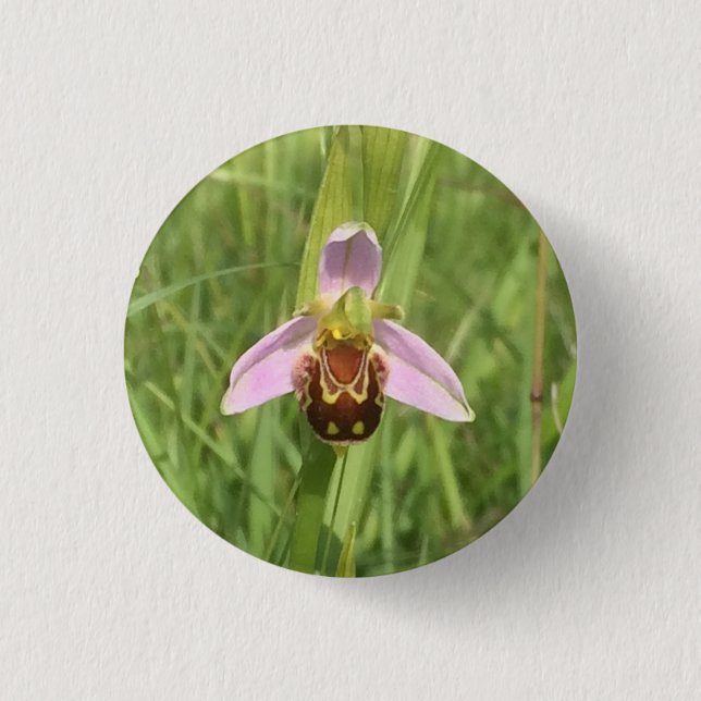Bee Orchid Flower Button (Front)