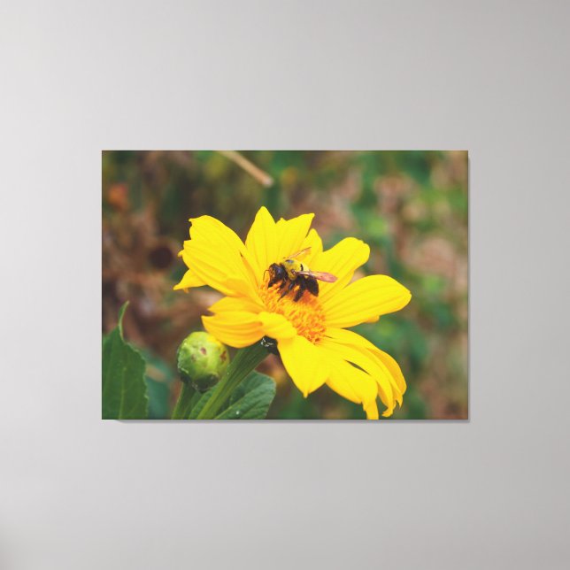 Bee Pollinating Bright Yellow Flower Photography Canvas Print (Front)