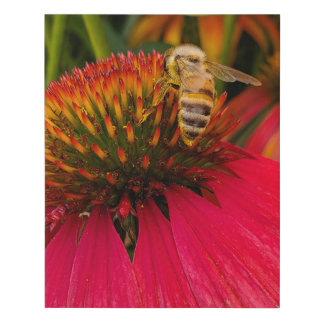 Bee portrait faux canvas print