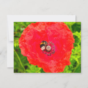 Bee  postcard