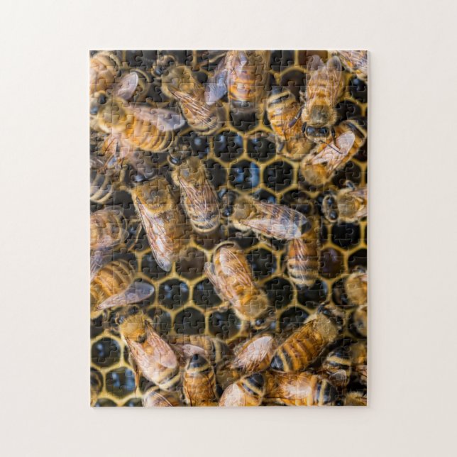 Bee Puzzle (Vertical)