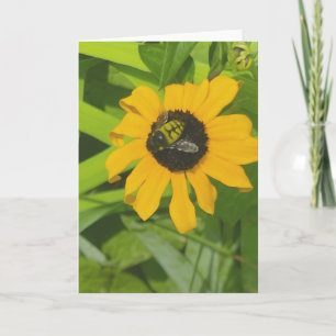 Bee Resting in a Flower Photo Blank Greeting Card 