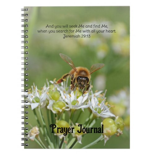 Bee Searching Faith Prayer Journal