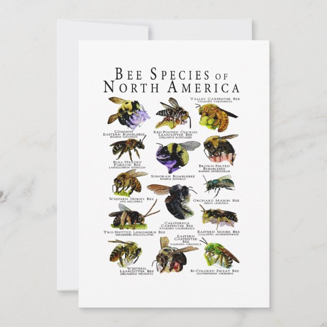 Bee Species of North America Poster Print Invitation (Front)