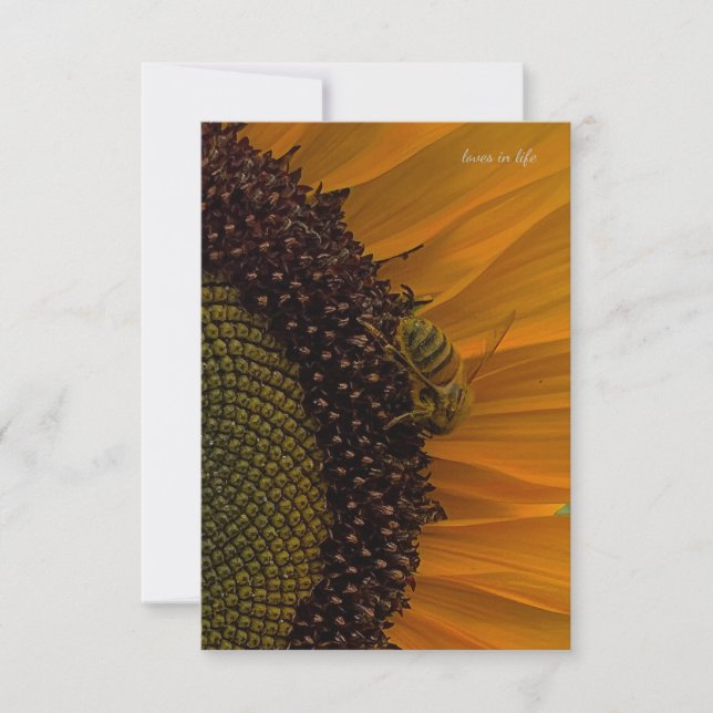Bee & Sunflower Up-close Note Card (Front)