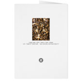 Bee Swarm Cards (Back)