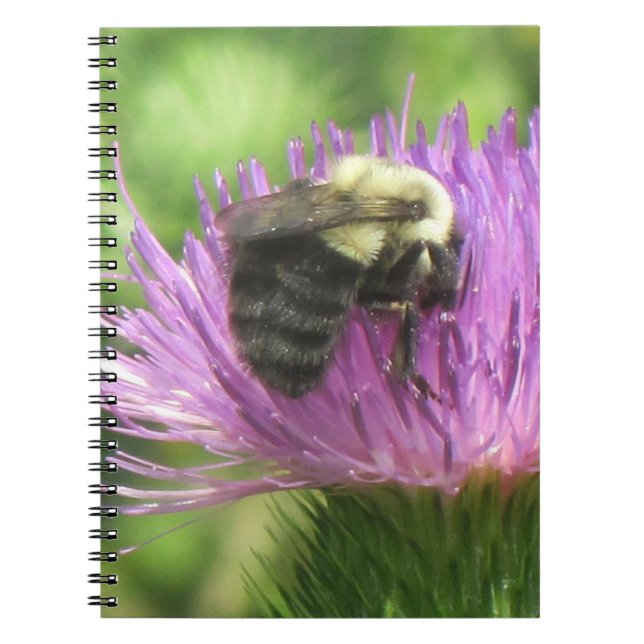 Bee & Thistle Notebook (Front)