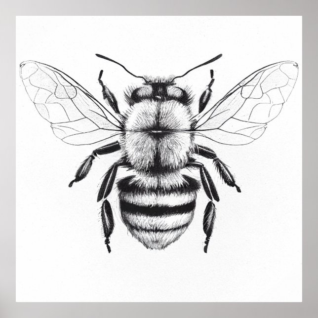 Bee Wild Nature Animal Illustration Art Drawing Poster (Front)