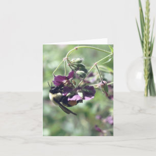 Bee With Pollen Flower Photography Note Card