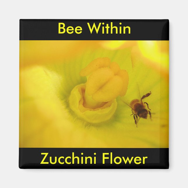 Bee Within Zucchini Flower Magnet (Front)