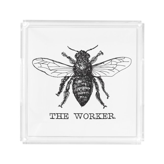 Bee Worker Honey Black Bumblebee Acrylic Tray (Front)