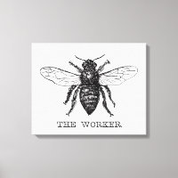 Bee Worker Honey Black Bumblebee