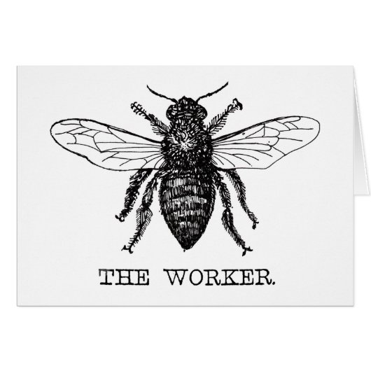 Bee Worker Honey Black Bumblebee Cards (Front Horizontal)