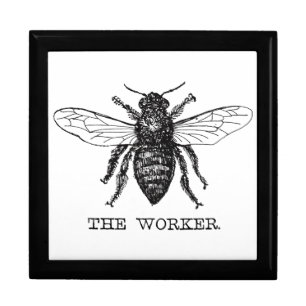 Bee Worker Honey Black Bumblebee Keepsake Box